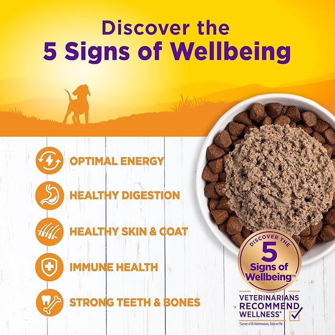 Wellness Complete Health Natural Wet Canned Puppy Food, Puppy Chicken & Salmon 12.5-Ounce Can (Pack of 12)