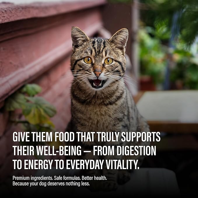 Chewer's Joy Wet Cat Food Variety Pack – 3 Flavors: Tuna & Salmon, Chicken & Turkey – Natural Pâté – High Protein – Grain Free – Complete & Balanced Nutrition – 12 Cans (3 oz)