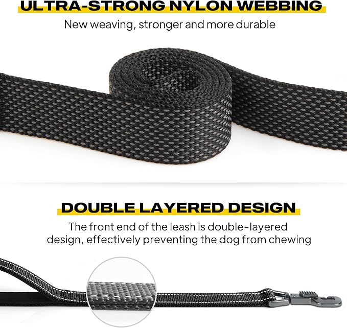 Fida 6 FT Heavy Duty Dog Leash with 2 Comfortable Padded Handles, Traffic Handle & Advanced Easy Snap Hook, Reflective Walking Lead for Large, Medium & Small Breed Dogs, Black