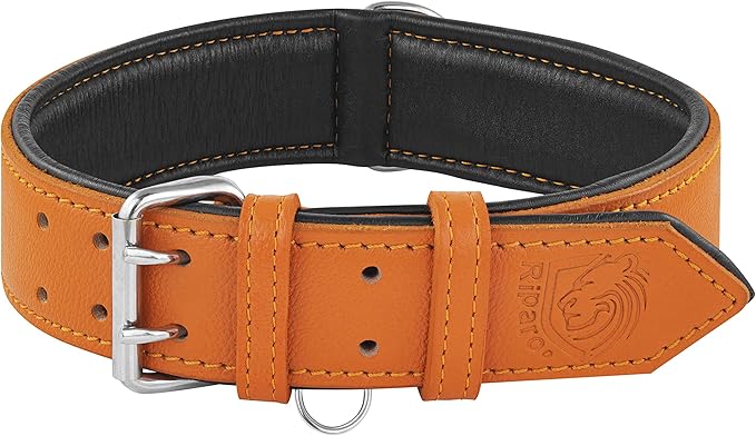Riparo Orange Dog Collar, Leather Dog Collar with Dog Tag Holder, Small Dog Collar for Small Dogs (S: 0.75” Wide for 10”-13.5” Neck, Orange)