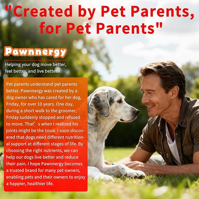 Dog Allergy & Itch Relief Chews - Salmon Oil Omega-3, Omega-6, Vitamin B1/B2/B6, Colostrum Probiotics Supplement for Seasonal Allergy, Hot Spots, Paw Licking, Scratching, 200 Soft Chews