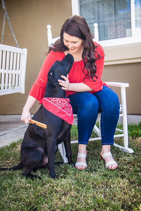 Detangling Pet Comb for Matted Hair and Detangler, with Long & Short Stainless Steel Teeth for Dog and Cat- Natural Easy Grooming Tool