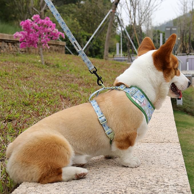 Butterfly Printed Dog Harness with D-Ring Leash Clip Set,Adjustable Soft Padded and Cotton Fabric Pet Vest for Medium and Small Dogs (Green, Small)