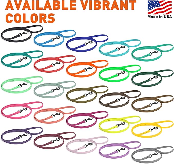 Dogline Biothane Waterproof Dog Leash Strong Coated Nylon Webbing with Black Hardware Odor-Proof Easy to Clean High Performance for Small or Large Dogs Made in USA 4 or 6 ft Lead, Coral