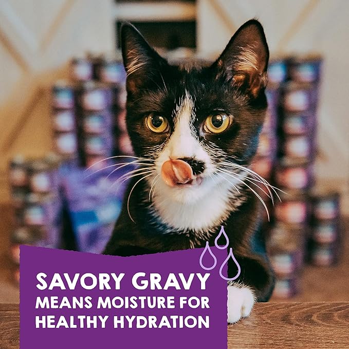 Stella & Chewy’s Carnivore Cravings Savory Shreds Canned Wet Cat Food Variety Pack – (2.8 Ounce Cans, Case of 12)