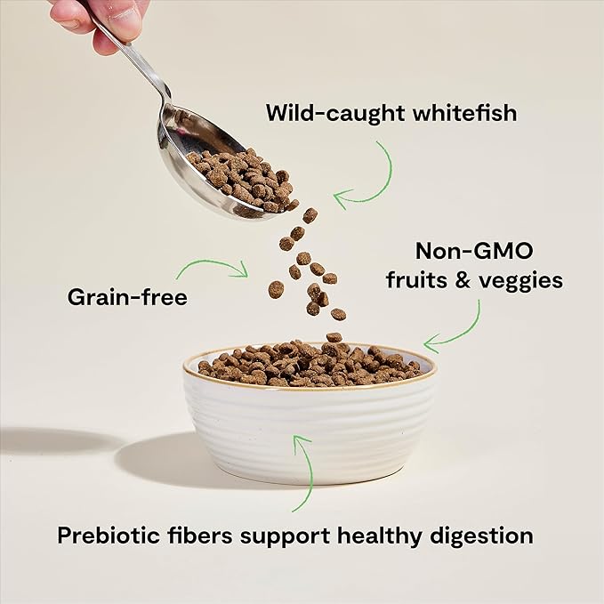 Open Farm, Grain Free Dry Cat Food, High-Protein Kibble for a Complete & Balanced Diet, Non-GMO Fruits & Vegetables, Prebiotic Fibers to Support Digestion, Catch-of-The Season Whitefish, 8lb Bag