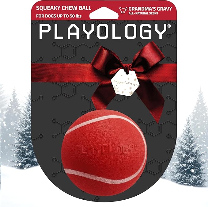 Playology Dog Toys | Squeaky Chew Ball - Bouncy Durable Floating Fetch Ball for Dogs | Medium Grandma's Gravy Scented Toy - Easy to Clean and Made from Non Toxic Materials