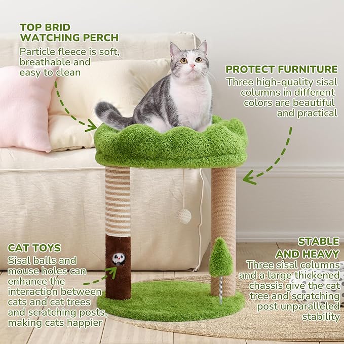 Small Cat Tree with Perch Cat Bed and Removable Cover 23 inch Tall Cat Tower with 2 Scratching Sisal Scratching Posts and Cat Toys for Kittens and Adult Cats（Green）