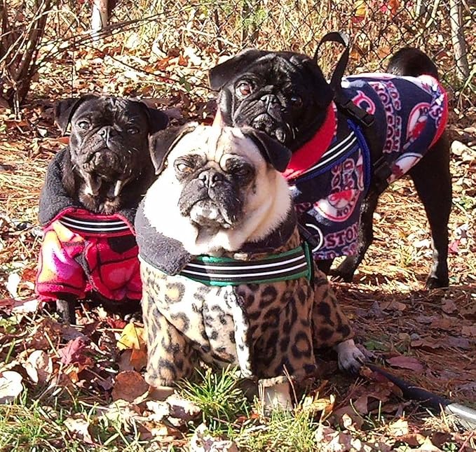 ComfortFlex Sport Dog Harness – No-Choke, Fully Padded, Non-Chafing Harness with Control Handle – Reflective, Lightweight, Adjustable for Active Dogs - XLarge, Raven Black