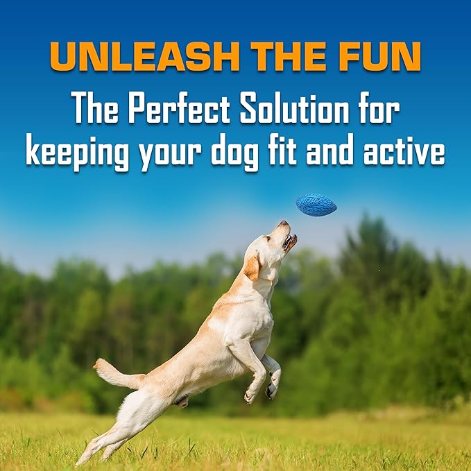 Nerf Dog Tire Squeak Football Outdoor Dog Toy, 6 Inch Dog Football Squeaking Toy for Medium and Large Breeds, Blue