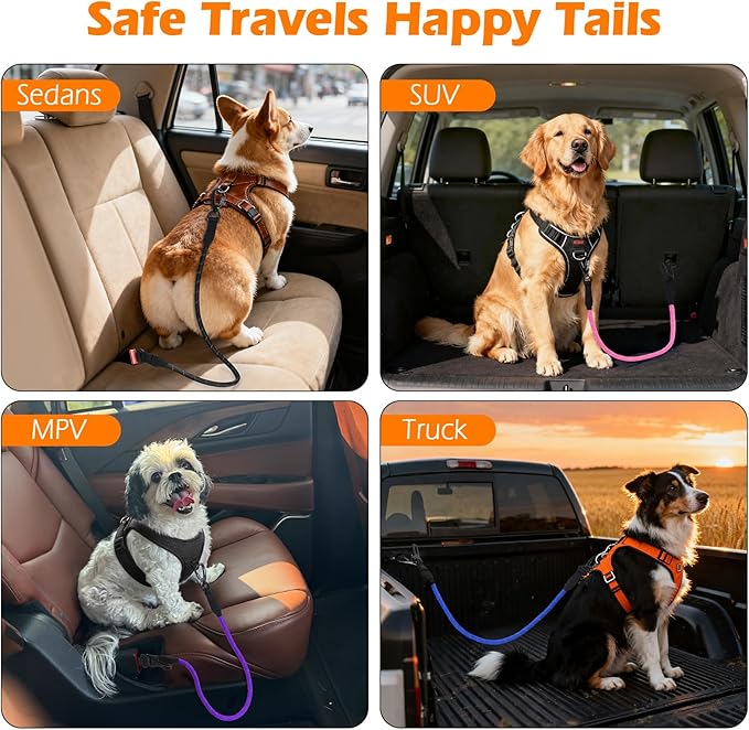 PetBonus Dog Seat Belt for Car, Durable Rope Dog Car Harness Seatbelt for Vehicle, Pet Tether Safety Restraint with Heavy Duty Buckle Hook Latch Lockable Clip for Small Medium Large Breeds (Purple)