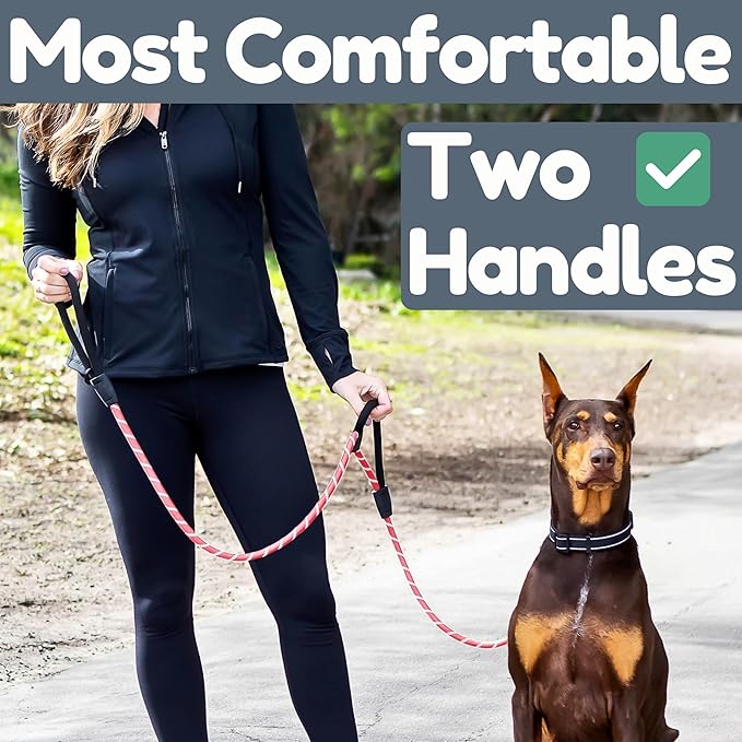 6 Foot Dog Leash, Two Extra Padded Handles, Locking Carabiner Clip, Reflective for Night Visibility, Weatherproof, Heavy Duty Rope Leash, Roam Gear (Pink)