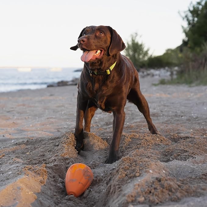 Chew King Premium Treat Dog Toy, Extremely Durable Natural Rubber Toy, Bacon Flavored Dog Toy