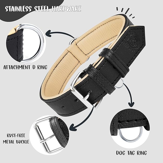 Riparo Genuine Leather Padded Dog Heavy Duty K-9 Adjustable Collar (XXL: 2” Wide for 24”-29” Neck, Black)