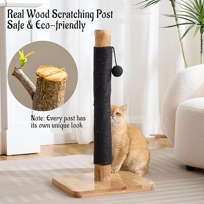 29" Tall Cat Scratching Post for Indoor Cats Adults, Extra-Stable & Natural Solid Wood Scratching Post Sisal Scratcher with Hanging Funny Ball, Black