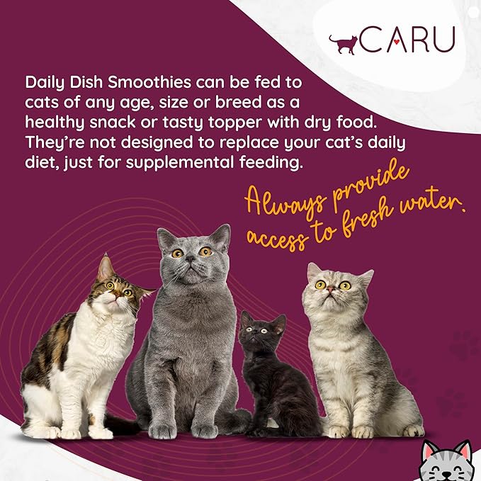 Caru - Daily Dish Smoothies - Lickable Chicken & Salmon Cat Treat - 4 Pouches per Pack - Pack of 12