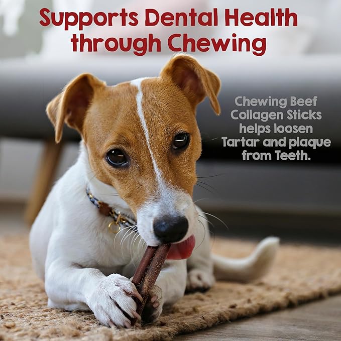 Riley's 6 Inch Beef Collagen Sticks for Dogs, Collagen Chews for Dogs, Bully Stick & Rawhide Alternative, Long Lasting, No Raw Hide Chews, Single Ingredient Dog Treat- 10 ct