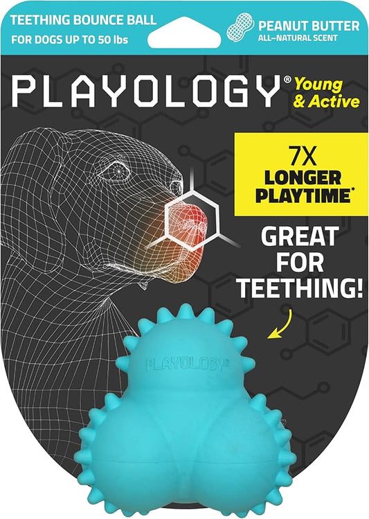 Playology Dog Toys | Puppy Toy Teething Bounce Ball Designed for Young & Active Dogs | Medium Peanut Butter Scented Toy Made from Non Toxic Materials