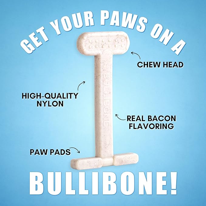 Bullibone Nylon Dog Chew Toy for Aggressive Chewers - Dental Hygiene Bone with Bacon Flavor, Durable Tough Chew Toys for Small Dogs, Indestructible Dog Bone - 2 Pack