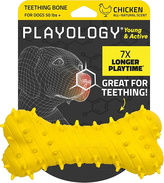 Playology Dog Toys | Puppy Toy Teething Bone Designed for Young & Active Dogs | Jumbo Chicken Scented Toy Made from Non Toxic Materials