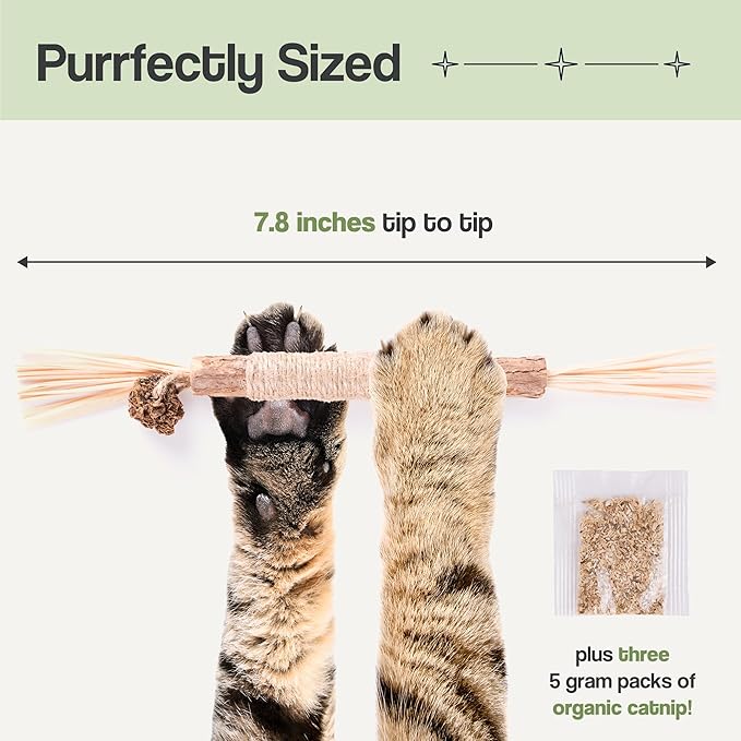 The Cat Park Silvervine Sticks for Cats 5 Pcs, Natural Catnip Cat Chew Toys for Indoor Cat Teeth Cleaning, Aggressive Chewers, Kitten Teething Matatabi Chew Stick Cat Toys, Silvervine for Cats