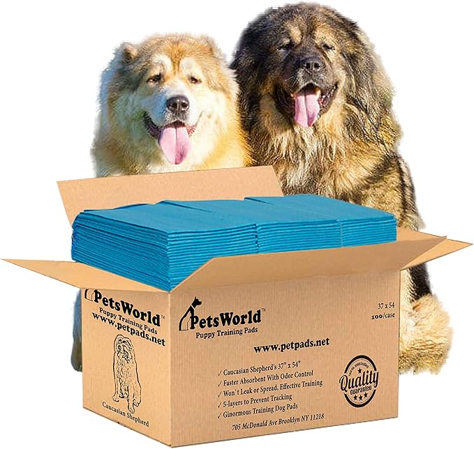 PETSWORLD Enormous Dog Training & Potty Pads, 37x54 inch - Tear Resistant with Strong Leak-Proof Backing, Optional Adhesive Tape, 100 Count