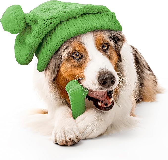 Playology Dog Toys | Dual Layer Bone Durable Chew Toy Bone for Dogs | Jumbo Mom's Turkey Scented Toy - Easy to Clean and Made from Non Toxic Materials