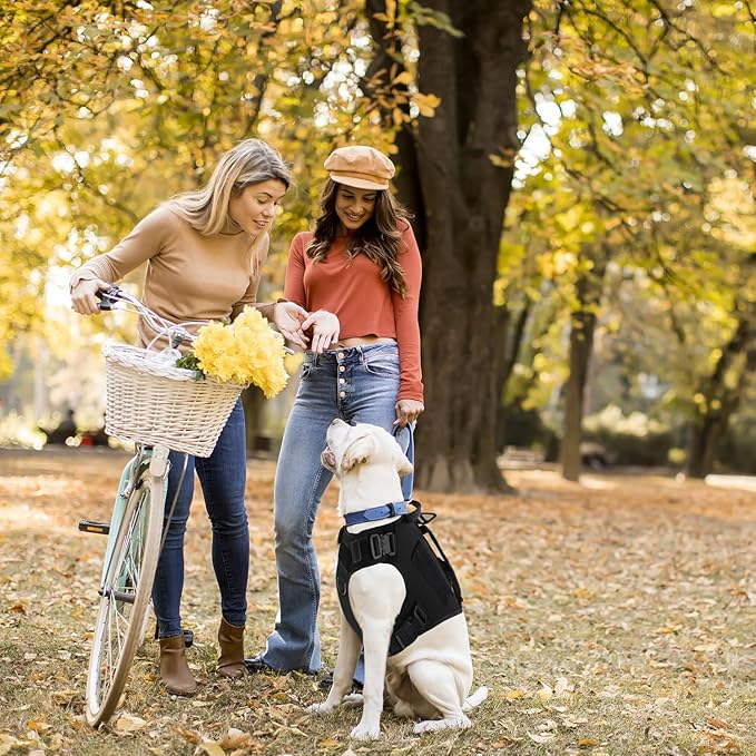 Tactical Dog Backpack Harness for Large Breed Original Design Metal Buckle Vest with Side Bags Pouches for Service Working Training (Black (with 2 Pouches), L)