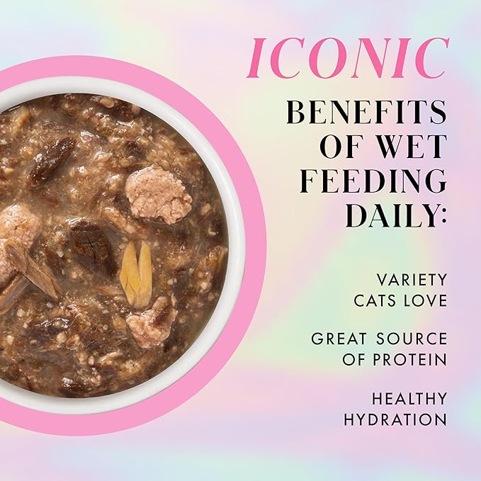 Weruva Paris Hilton Pamper Like Paris Wet Cat Food, Duck and Salmon in Gravy, 2.47oz Pouch, Pack of 12