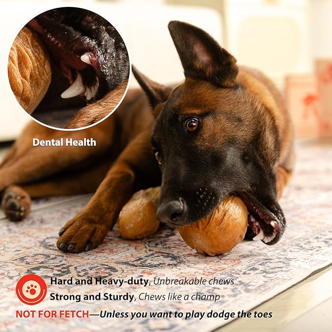Willjoy 3-Pack Dog Toys for Aggressive Chewers, Chew Toys for Aggressive Chewers, Pine Wood & Nylon, Bacon Flavor Aggressive Chew Toys for Large Dogs, Long Lasting Dog Chews Alternative to Real Sticks