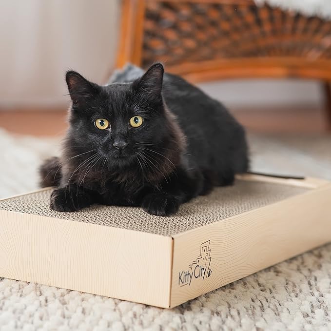 Chew King Premium Treat Dog Toy, Medium, Extremely Durable Natural Rubber Fillable Toy Collection, Frozen Feeding