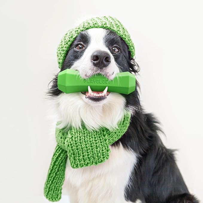 Playology Dog Toys | Durable Squeaky Chew Stick for Dogs | Medium Mom's Turkey Scented Toy - Easy to Clean and Made from Non Toxic Materials