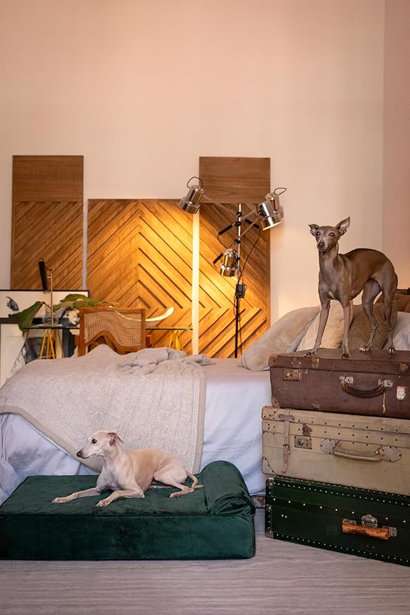 NOAH & PAW Large Dog Bed, 35x25x8.7 Inch, Orthopedic Dog Beds, Eggshell Memory Foam Infused with Cooling Gel, Waterproof, Machine Washable, Includes Inner Cover (Velvet Collection)