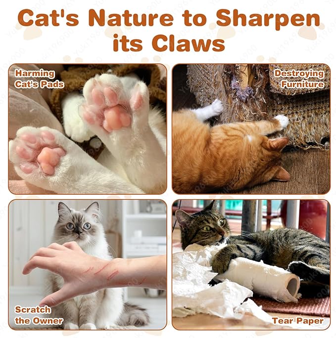 Kitty Cat Toy, Magic Organ Cat Scratch Board, Compact Accordion toys with Bell Ball, cat toys for indoor cats & Kittens, Foldable Design,Boosts Claw Health,Relieve Anxiety and Protect the Furniture