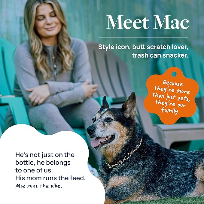 Veterinary Formula Smart Vitality Senior Support Dog Supplements 60ct – Senior Dog Vitamins to Help Promote Mobility, Hip & Joint, Immune Health – Dog Multivitamin with Glucosamine and Chondroitin