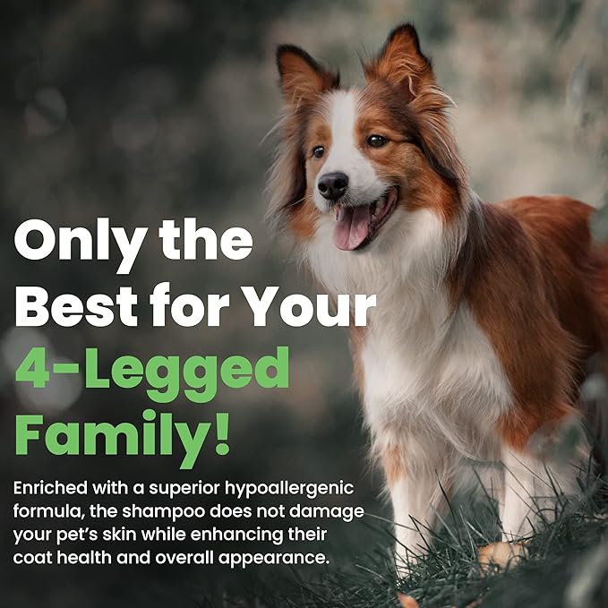 Best Shot Scentament Spa Seasonal Facial & Body Wash, Harvest Apple, 1 Gallon