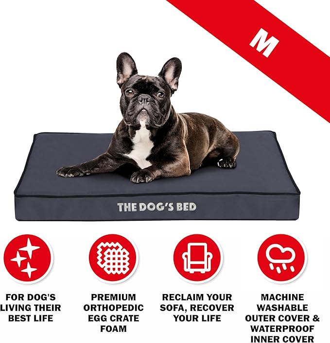 The Dog’s Bed Orthopedic Dog Bed, Medium Grey with Black Trim, Waterproof, Supportive Dog Bed with Washable Replaceable Covers, Veterinary Approved