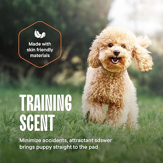 Puppy Pads XL 28x34 [100-COUNT] Dog Pads Extra Large 28" x 34" Leak-Proof Dog Pee Pads - Quick-Dry Puppy Pee Pads Pet Potty Training - Heavy Duty Super Absorbent Wee Wee Pads for Dogs Bulk -100 Pack