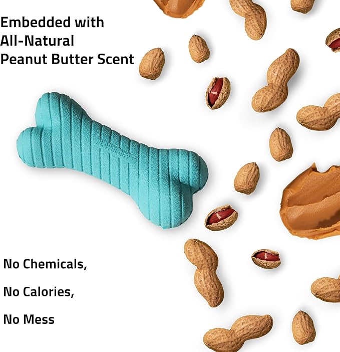 Playology Dog Toys | Dual Layer Bone Durable Chew Toy Bone for Dogs (Value 3-Pack) | Small Peanut Butter Scented Toy - Easy to Clean and Made from Non Toxic Materials