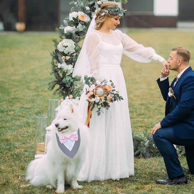 ADOGGYGO Formal Dog Tuxedo Wedding Pet Bandana Collar with Bowtie, Adjustable Birthday Wedding Formal Tux Costumes for Small Dogs Pets (S, Grey)
