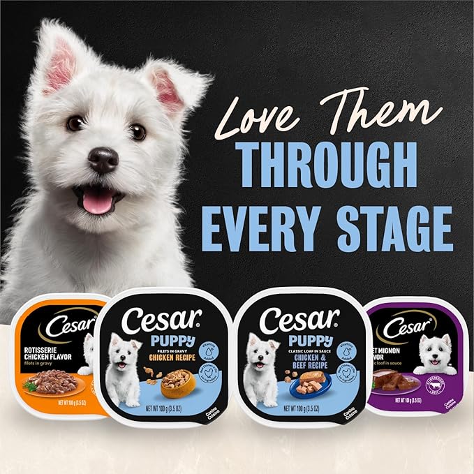 Cesar Puppy Filets in Gravy Wet Dog Food, Chicken Recipe, 3.5 oz. Easy Peel Trays, Dog Food Toppers, 24 Count