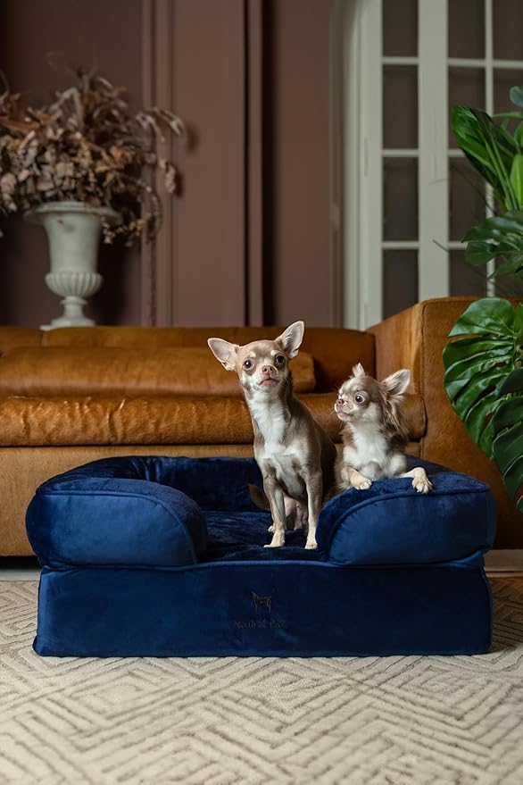 NOAH & PAW Dog Bed, 28x23x11 Inch, Orthopedic Dog Beds for Medium Size Pets, Eggshell Memory Foam Infused with Cooling Gel, Inner Cover, Waterproof, Machine Washable (Velvet Sofa Collection)
