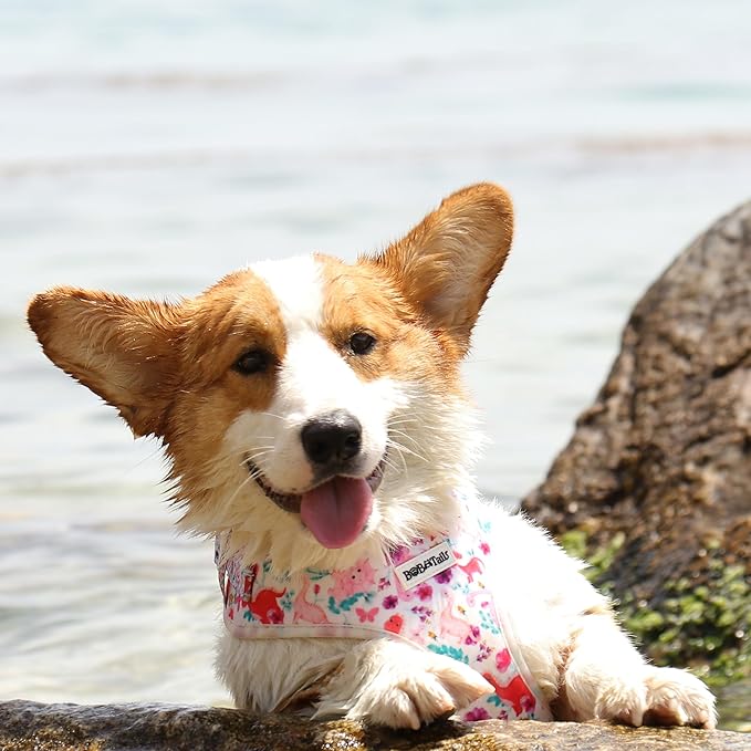 Dinosaur Printed Dog Harness with D-Ring Leash Clip Set,Adjustable Soft Padded and Cotton Fabric Pet Vest Harnesses for Extra Small Dogs (White, Extra Small)