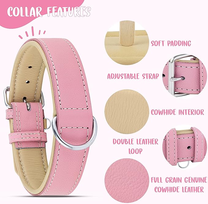 Riparo Pink Dog Collar, Puppy Collar, Leather Dog Collar with Dog Tag Holder, Small Dog Collar for Small Dogs (S: 0.75” Wide for 10”-13.5” Neck, Pink)