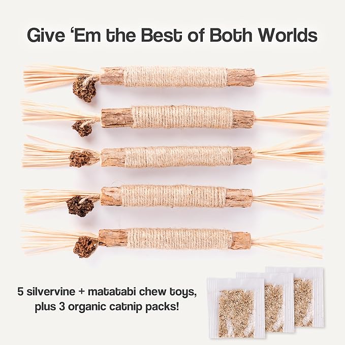 The Cat Park Silvervine Sticks for Cats 5 Pcs, Natural Catnip Cat Chew Toys for Indoor Cat Teeth Cleaning, Aggressive Chewers, Kitten Teething Matatabi Chew Stick Cat Toys, Silvervine for Cats