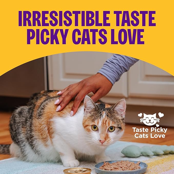 Wellness Complete Health Pate Adult Wet Cat Food, Natural, Protein-Rich, Grain-Free, 3 Ounce, 24 Pack, (Chicken & Turkey Variety Pack)