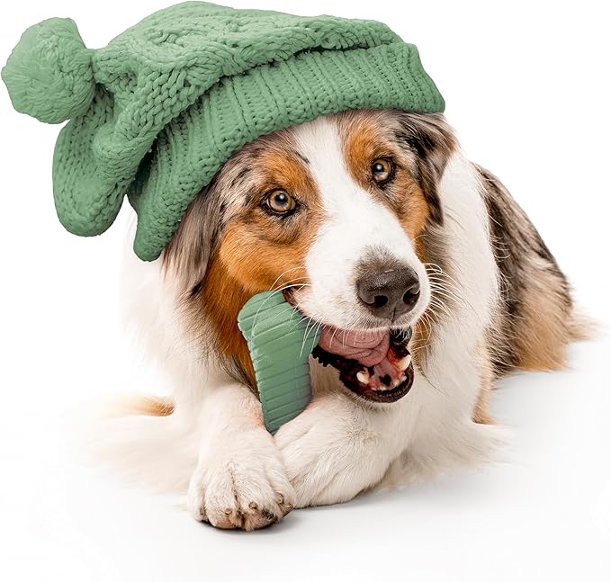 Playology Dog Toys | Dual Layer Bone Durable Chew Toy Bone for Dogs | Jumbo Butternut Squash & Sage Scented Toy - Limited Edition Fall Scent | Easy to Clean and Made from Non Toxic Materials