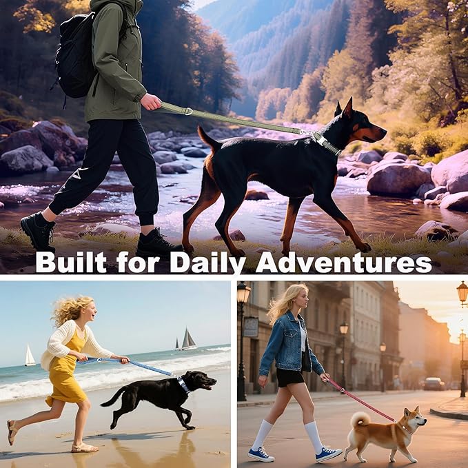 Plutus Pet Heavy Duty Dog Leash with Lockable Aluminum Carabiner, 4/6 Feet Long, Double-Sided Reflective Nylon, Padded Handle, for Puppy, Small, Medium and Large Dogs (Chocolate, 4/5" x 4')