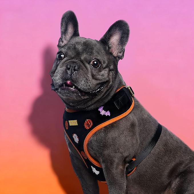 Halloween Velvet Dog Harness, No-Pull Design, Adjustable, XXS-Large, Black, Embroidered, Velvet & Corduroy, Machine-Washable (Black, XS)