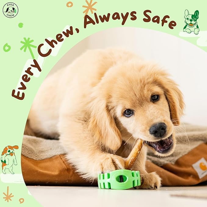 EverChew | Made in USA Bully Stick Holders & Premium All-Natural Bully Stick Starter Packs (SafetyChew+ & 1 Thick 6" Stick | 16 to 39+ lbs)